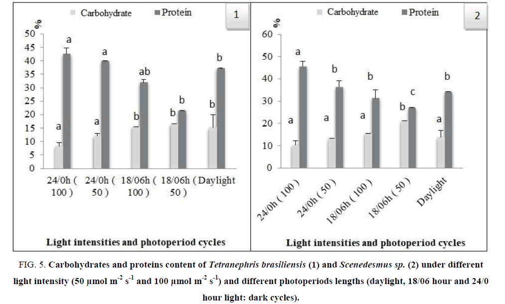 bio-technology-proteins