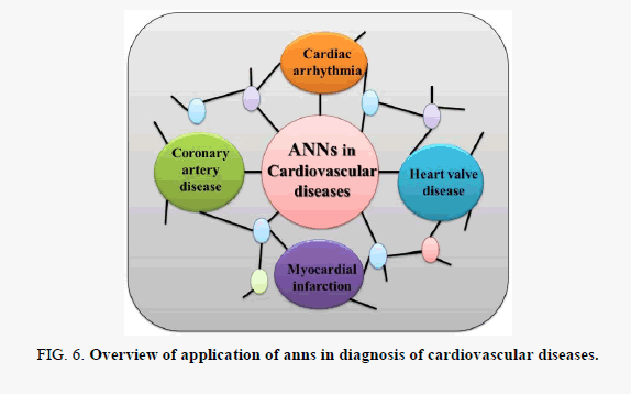 biochemistry-cardiovascular