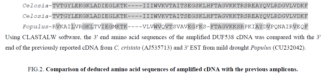 biochemistry-molecular-biology-letters-Comparison-deduced