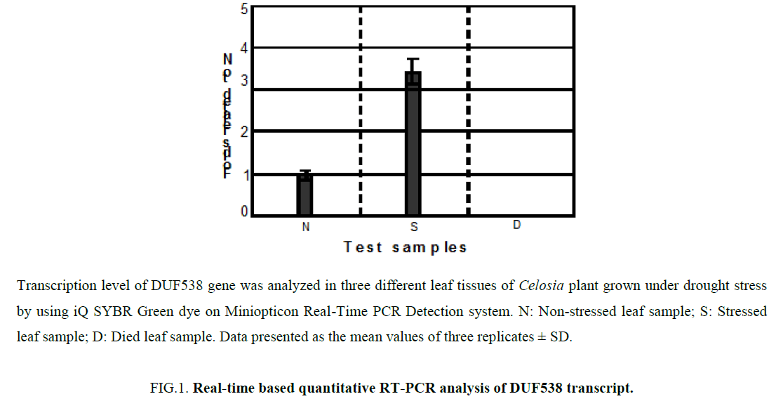 biochemistry-molecular-biology-letters-Real-time