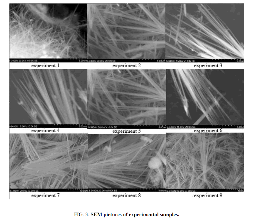 biosciences-pictures