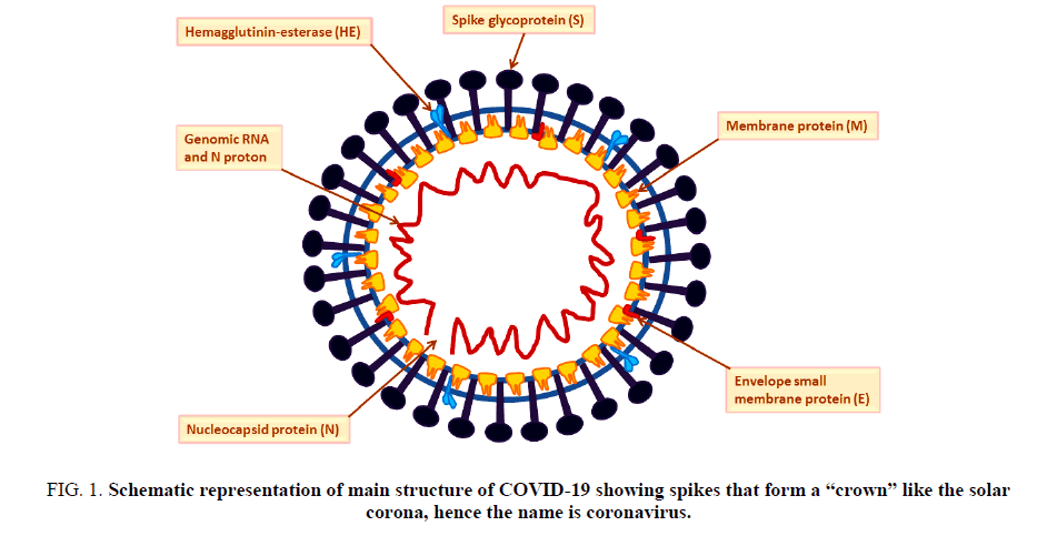 Analytical-Chemistry-extracted-ion-chromatogram