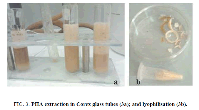 biotechnology-Corex-glass-tubes-lyophilisation