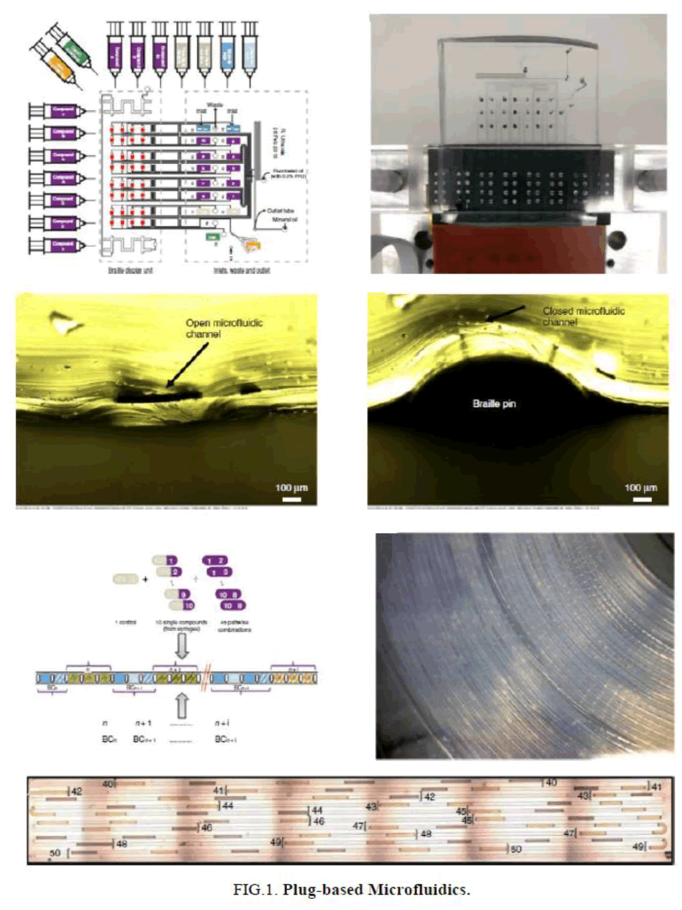 biotechnology-Microfluidics