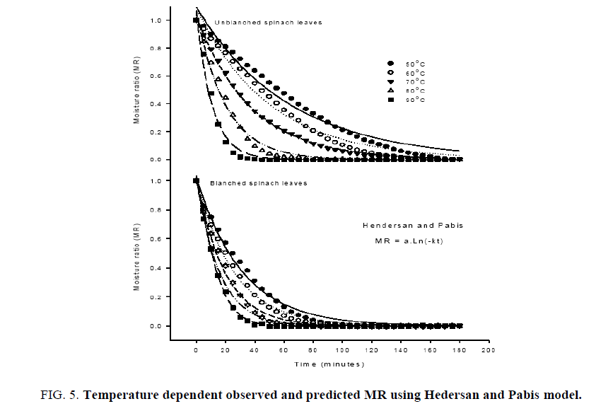 biotechnology-Pabis-model