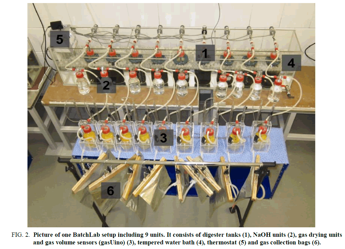 biotechnology-Picture