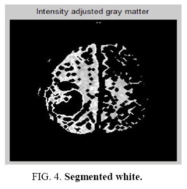 biotechnology-Segmented-white