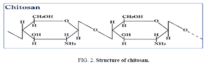 biotechnology-Structure-chitosan