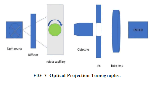 biotechnology-Tomography