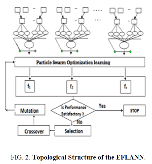 biotechnology-Topological-Structure-EFLANN