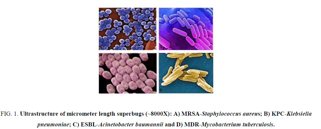 biotechnology-Ultrastructure-micrometer-uperbugs