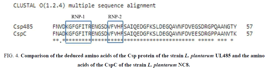 biotechnology-amino-acids