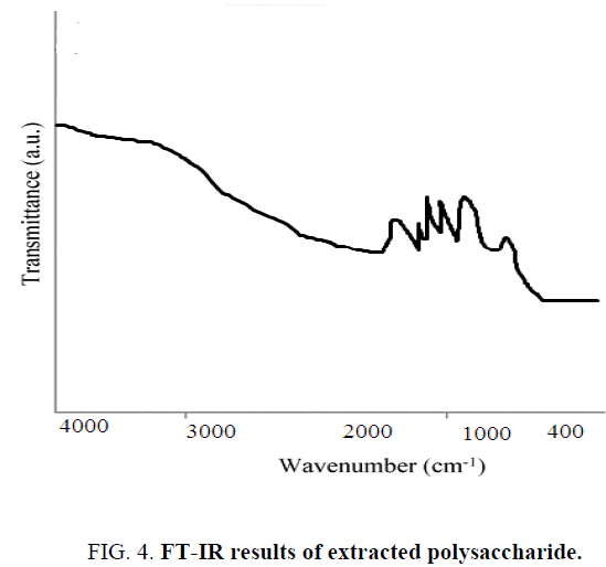 biotechnology-an-indian-journal-FT-IR-results