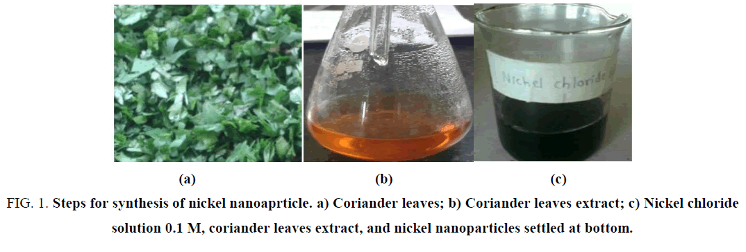 biotechnology-an-indian-journal-nickel-nanoaprticle