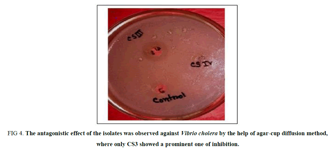 biotechnology-antagonistic