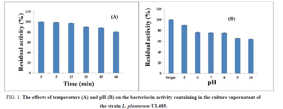 biotechnology-bacteriocin