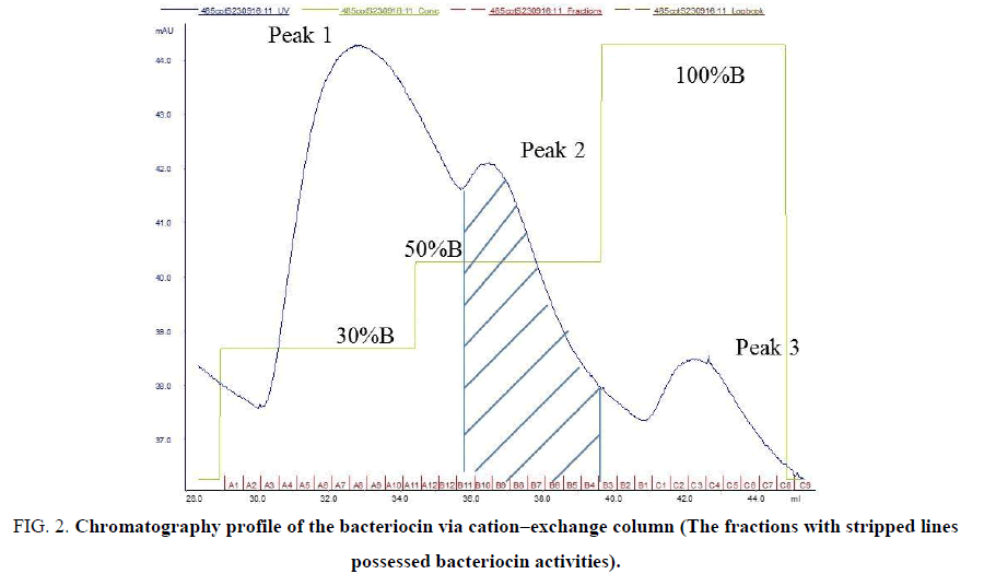 biotechnology-chromatography