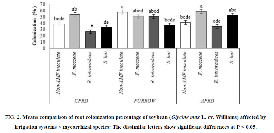 biotechnology-colonization