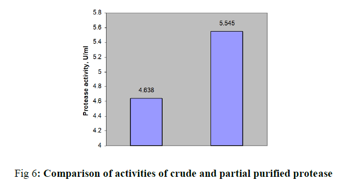 biotechnology-crude-partial-purified