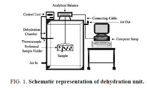 biotechnology-dehydration