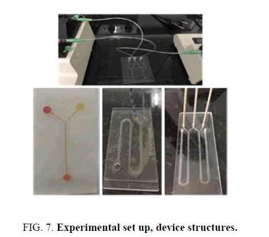 biotechnology-device-structures