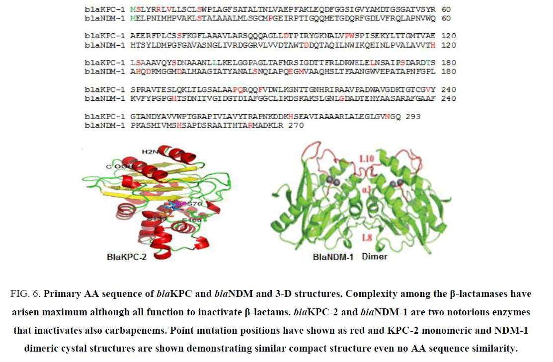 biotechnology-dimeric-cystal-structures