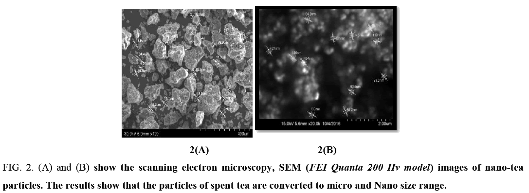 biotechnology-electron-microscopy