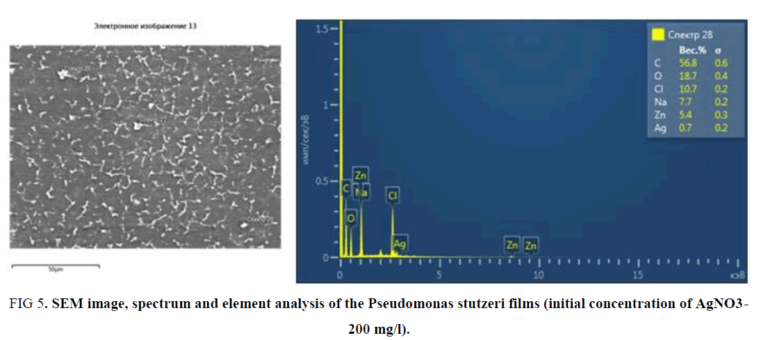 biotechnology-element-analysis