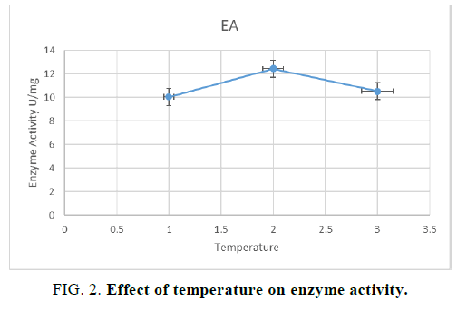 biotechnology-enzyme