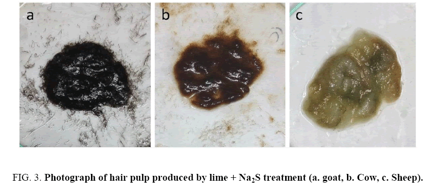 biotechnology-hair-pulp