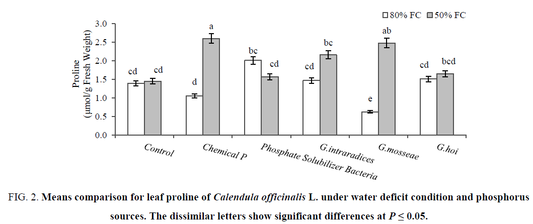 biotechnology-leaf-proline-phosphorus