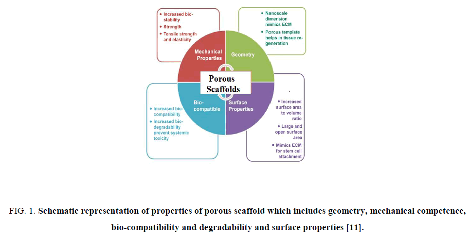 biotechnology-mechanical-competence-bio-compatibility-degradability