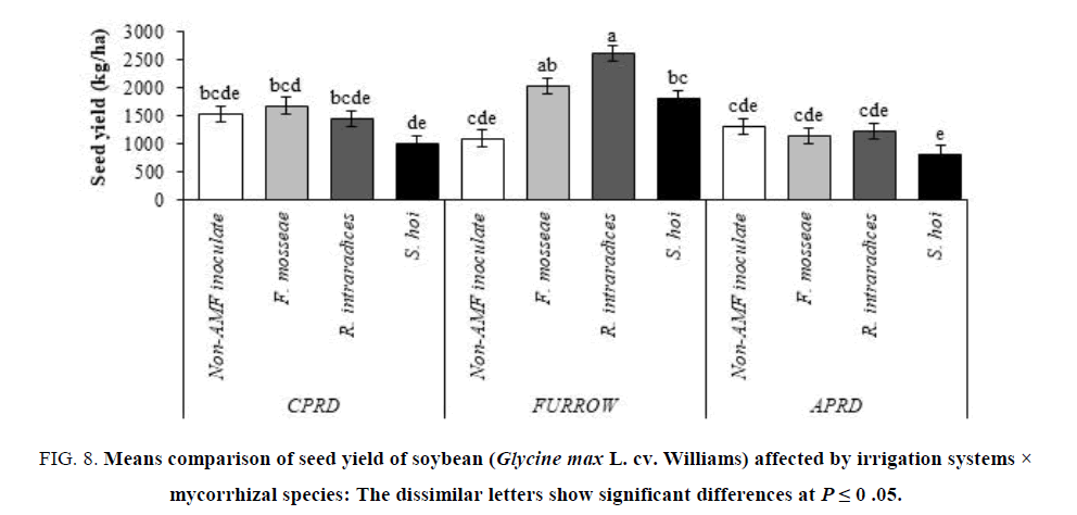 biotechnology-mycorrhizal