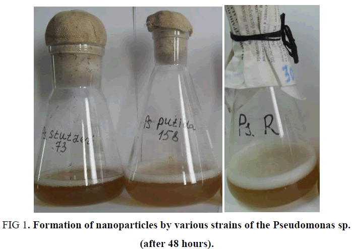 biotechnology-nanoparticles