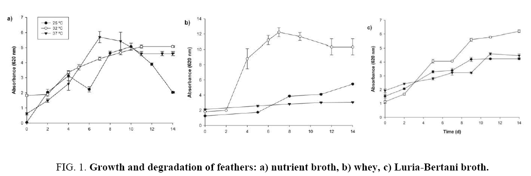 biotechnology-nutrient-broth