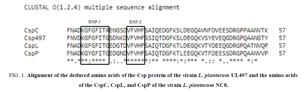 biotechnology-protein