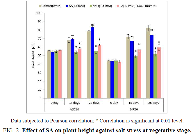 biotechnology-salt-stress-vegetative