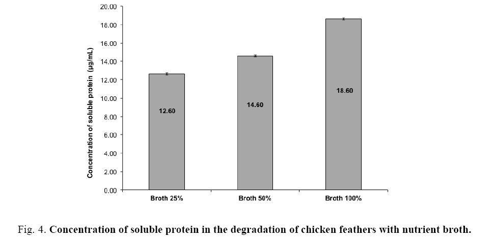 biotechnology-soluble-protein