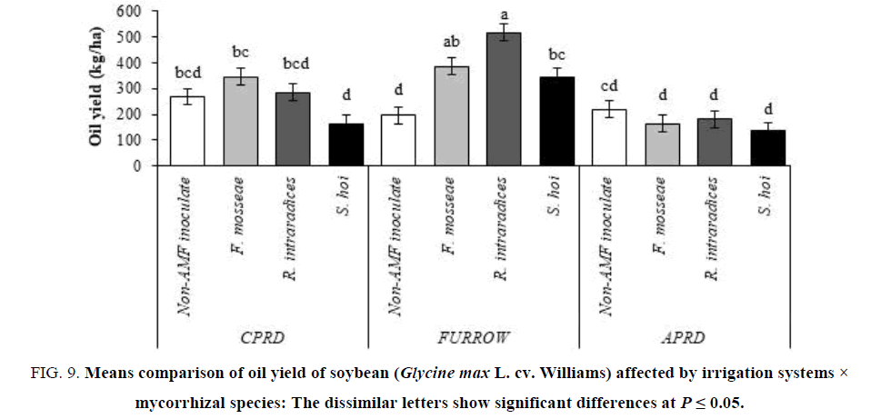 biotechnology-soybean