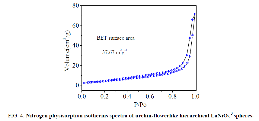 chemical-technology-Nitrogen-physisorption-isotherms