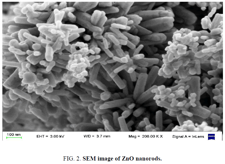 chemical-technology-SEM-image-nanorods