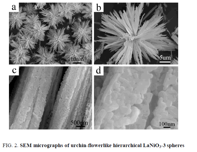 chemical-technology-SEM-micrographs-urchin-flowerlike