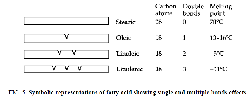 chemical-technology-Symbolic-fatty-multiple