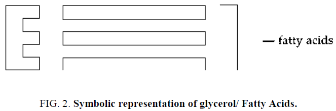 chemical-technology-Symbolic-representation-Fatty