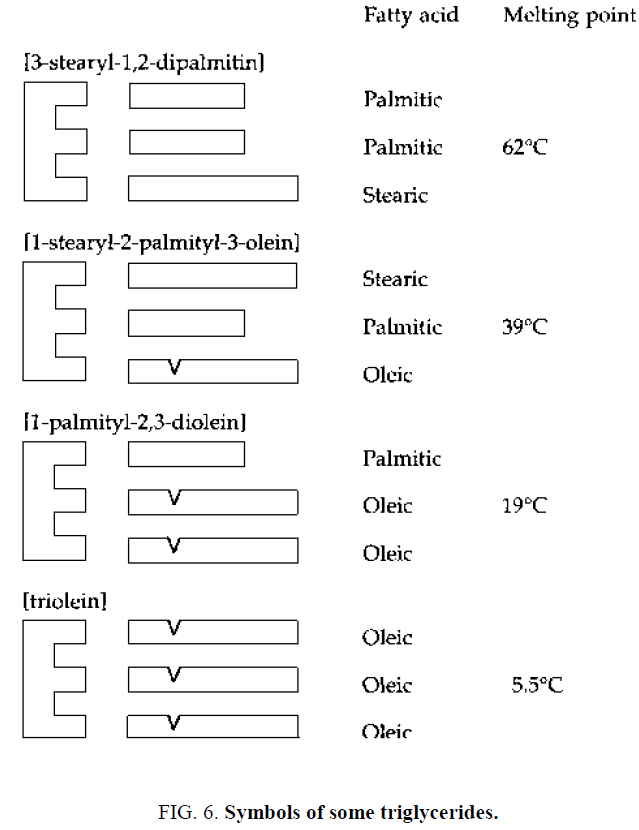 chemical-technology-Symbols-some-triglycerides