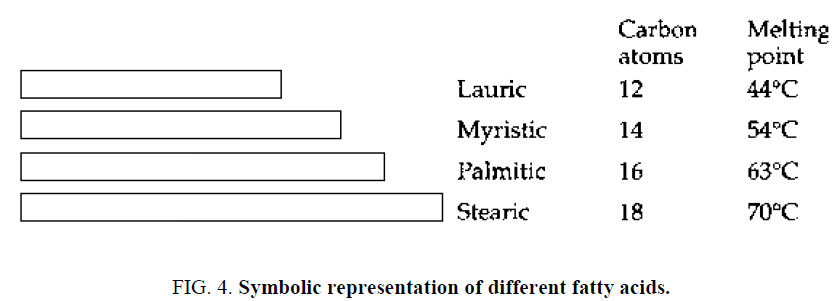 chemical-technology-different-fatty-acids