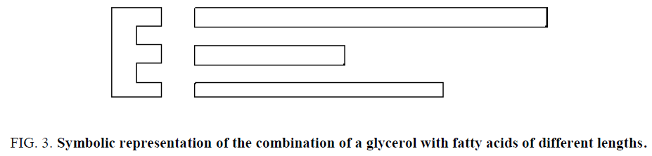 chemical-technology-representation-combination-glycerol