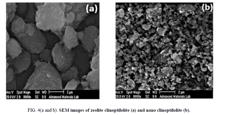 chemical-technology-zeolite