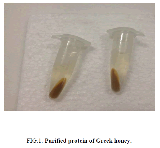 chemxpress-Purified-protein