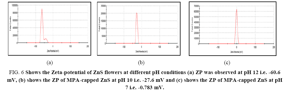 chemxpress-Zeta-potential